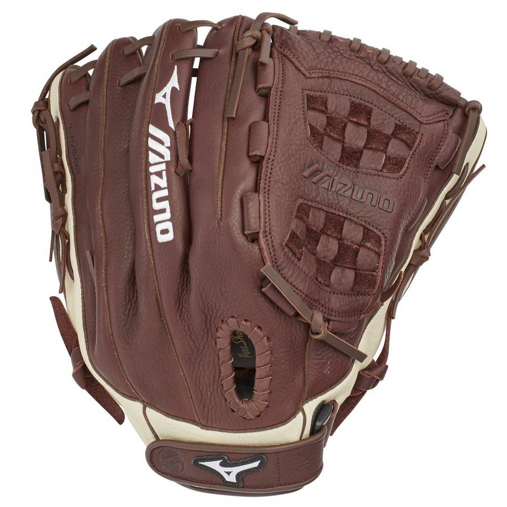 Panske Rukavice Mizuno Franchise Series Slowpitch 14" Softball Káva/Strieborne Vypredaj BYQG48561